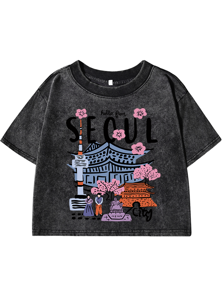 Seoul Beautiful Scenery Printi - مراجعة Street Fashion Of Seoul وسعره